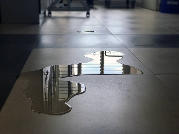 Best Local water damage restoration  in Rockville, IN