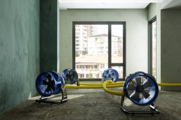 Best 24/7 water damage repair  in Rockville, IN